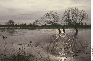 somerset-tadmoor-flooded-field